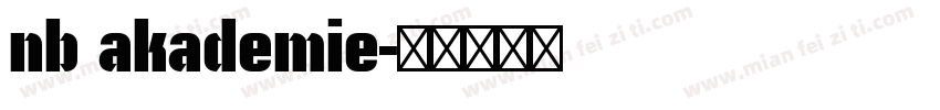 nb akademie字体转换